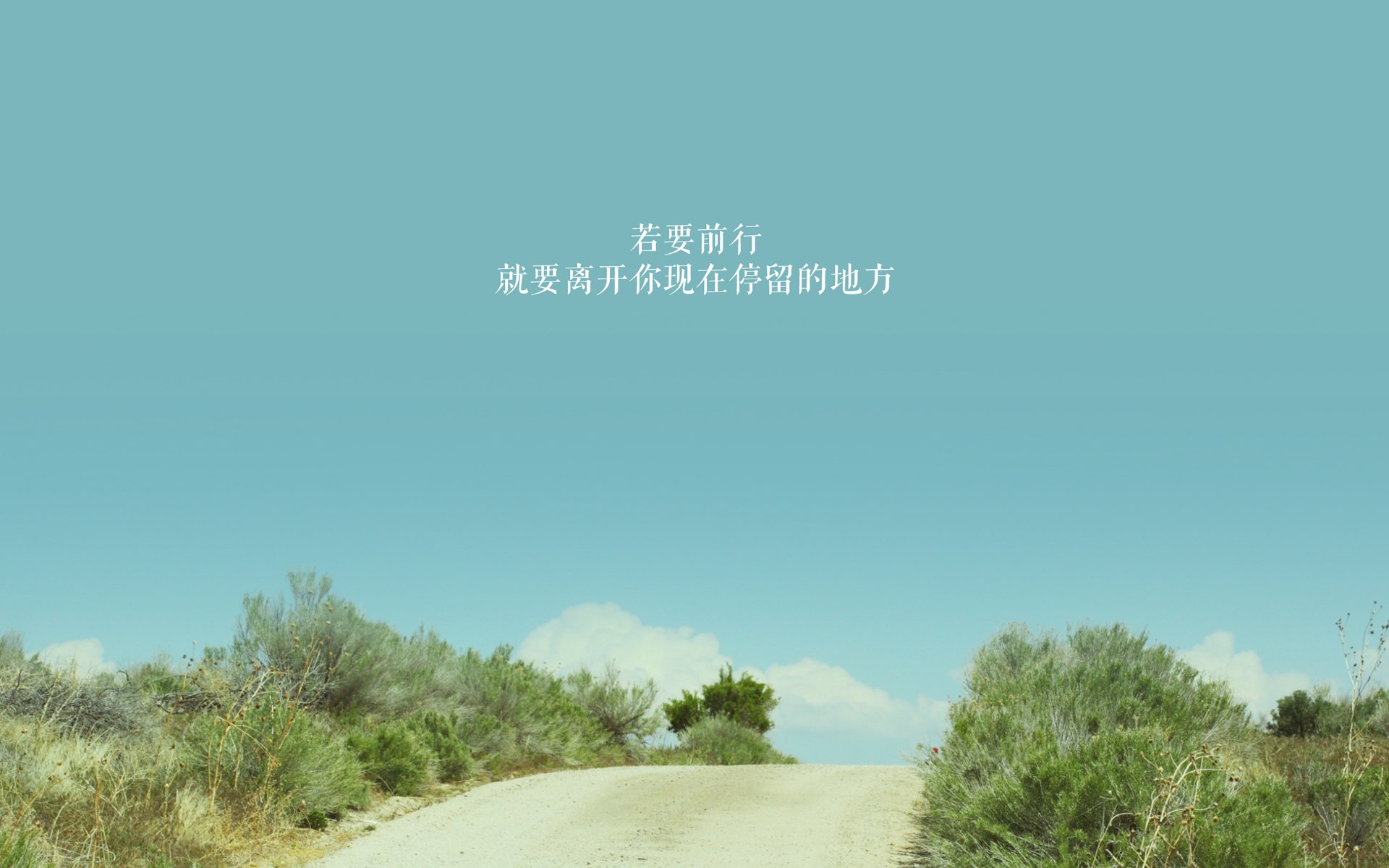 绿衫军横扫华南虎,布伦森如何化身现代凯尔特勇士