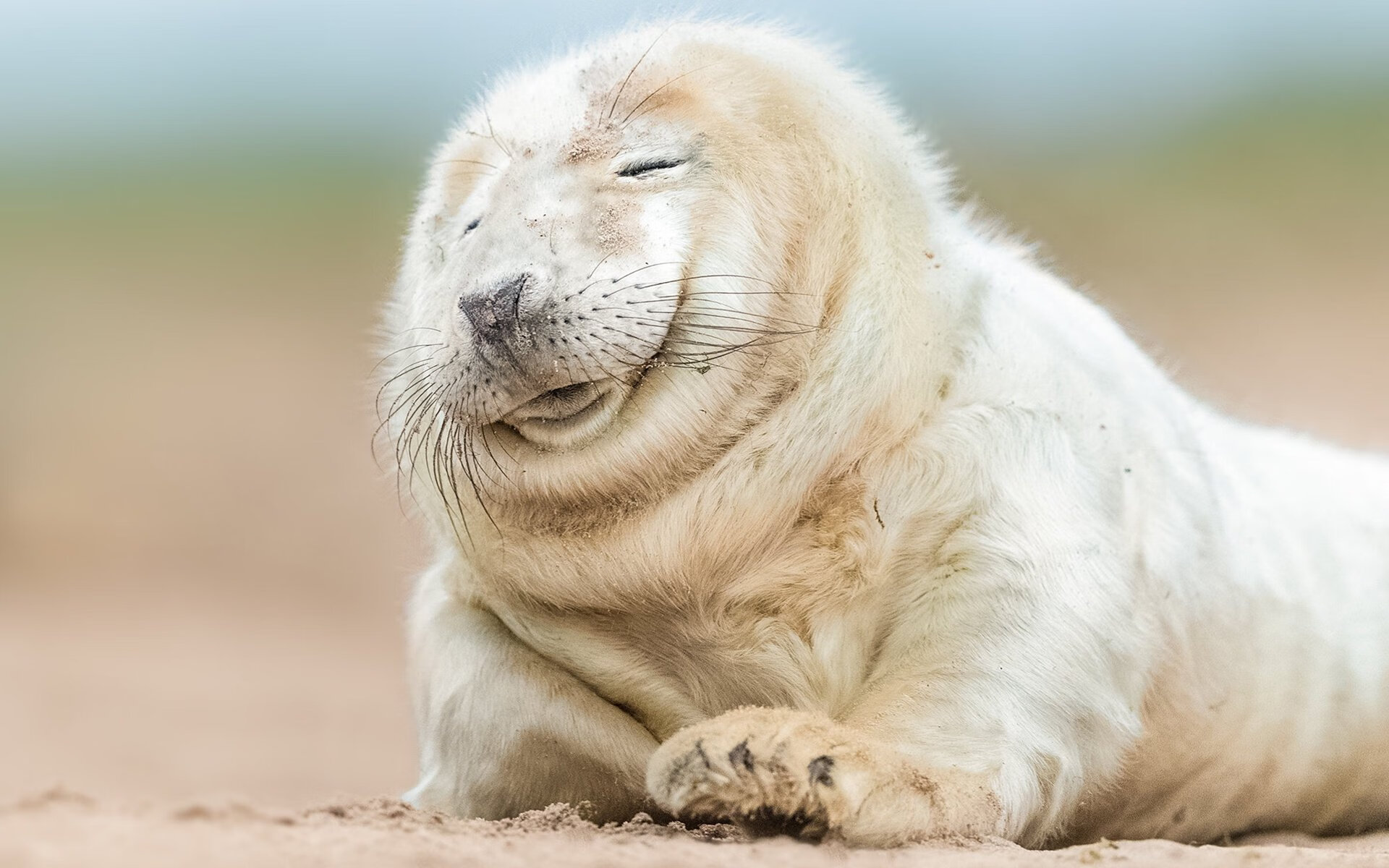 阿尔卡拉斯，拉沃尔杯的热血鏖战与澳网的无畏征途