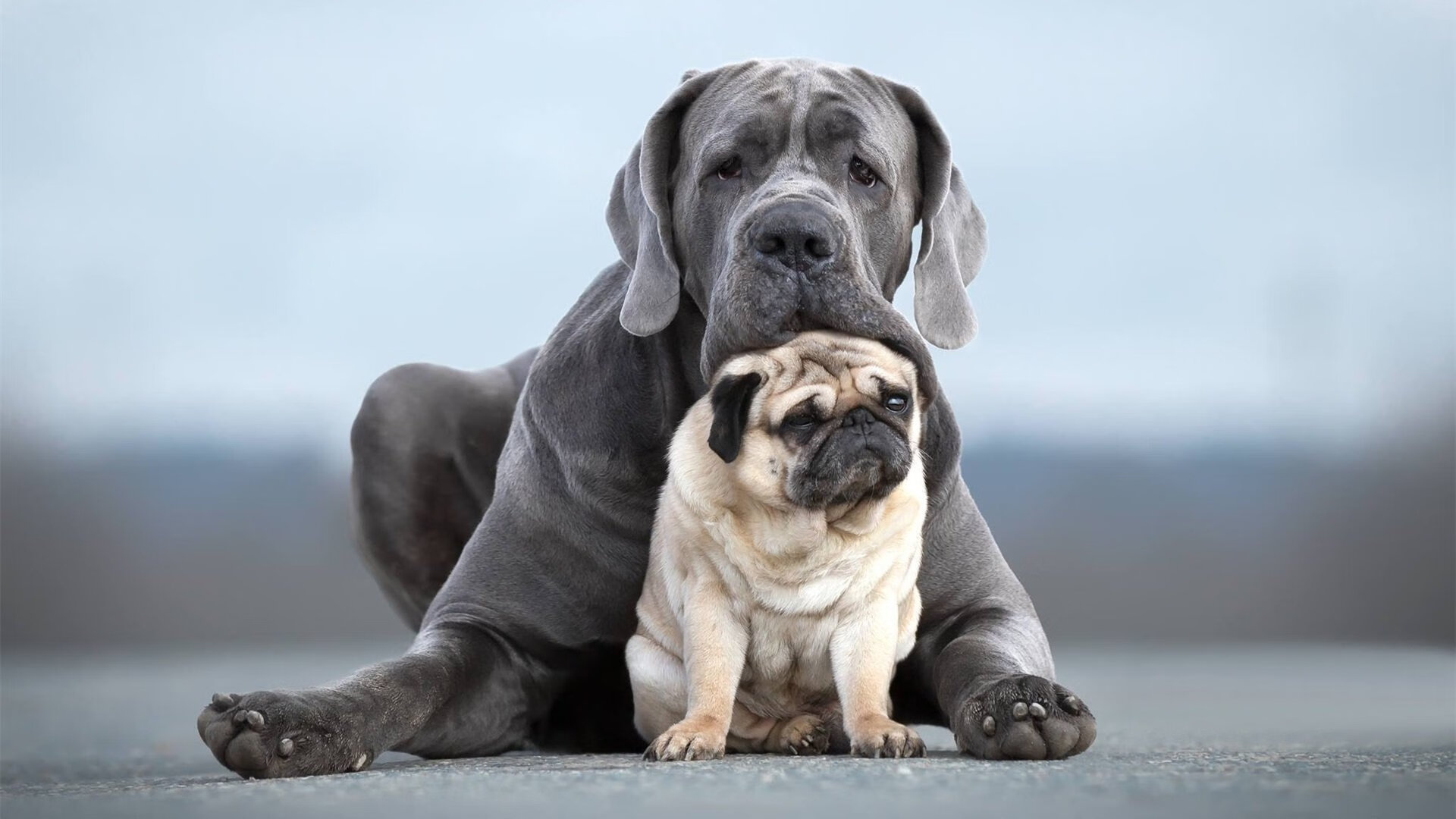 唯一神迹，世界排名争夺战之夜，梅西全场最佳无争议