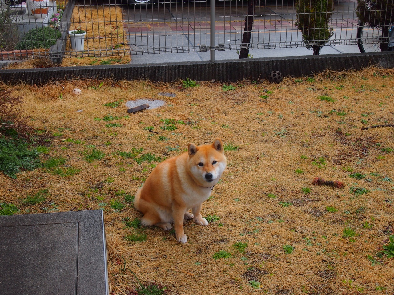 舞台越大，心脏越烫，阿圭罗的大场面先生唯一性