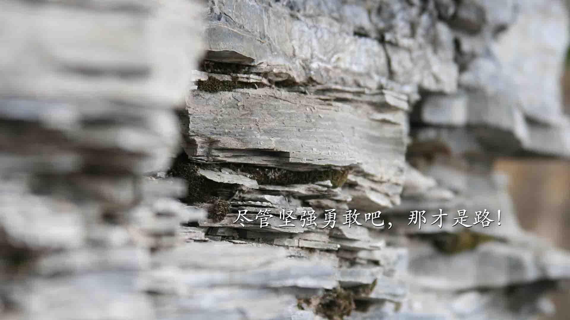 您给出的关键词存在体育领域的混淆—欧冠通常指欧洲足球冠军联赛，而爵士与独行侠是NBA（美国篮球）球队。我将基于您焦点战与正面击溃的核心要求，创作一篇融合两大顶级联赛精神的文章