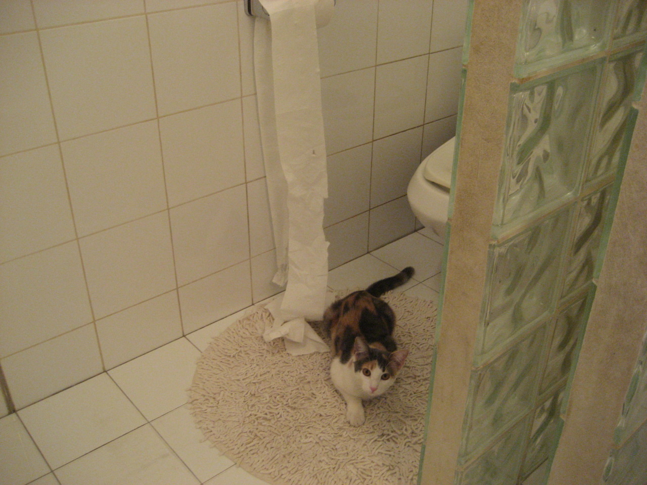 橙色风暴席卷卡塔尔，双面守护神拉亚导演晋级奇迹