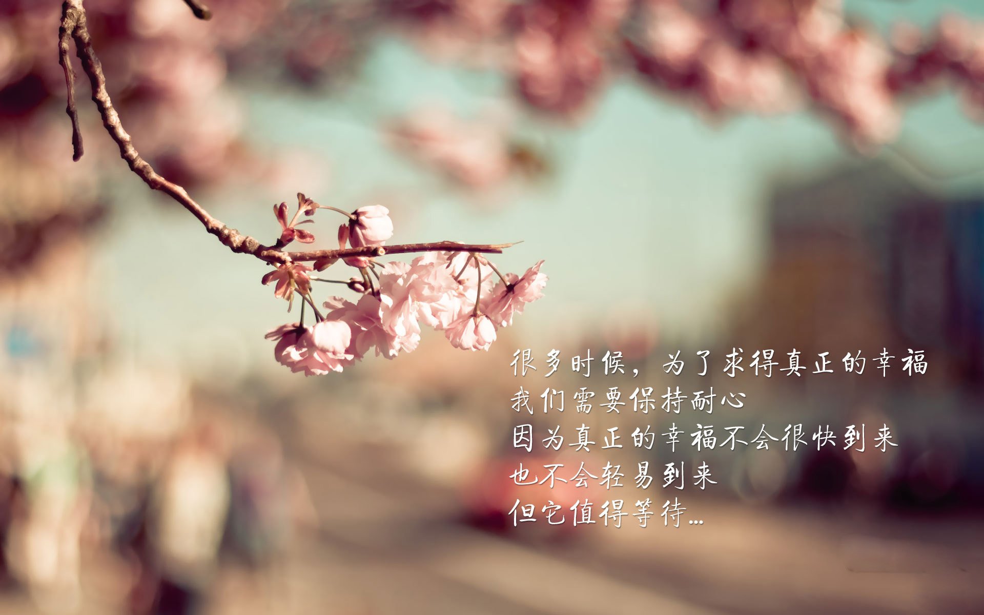 铁壁与火山，日本战术压制遭遇努涅斯末节爆发