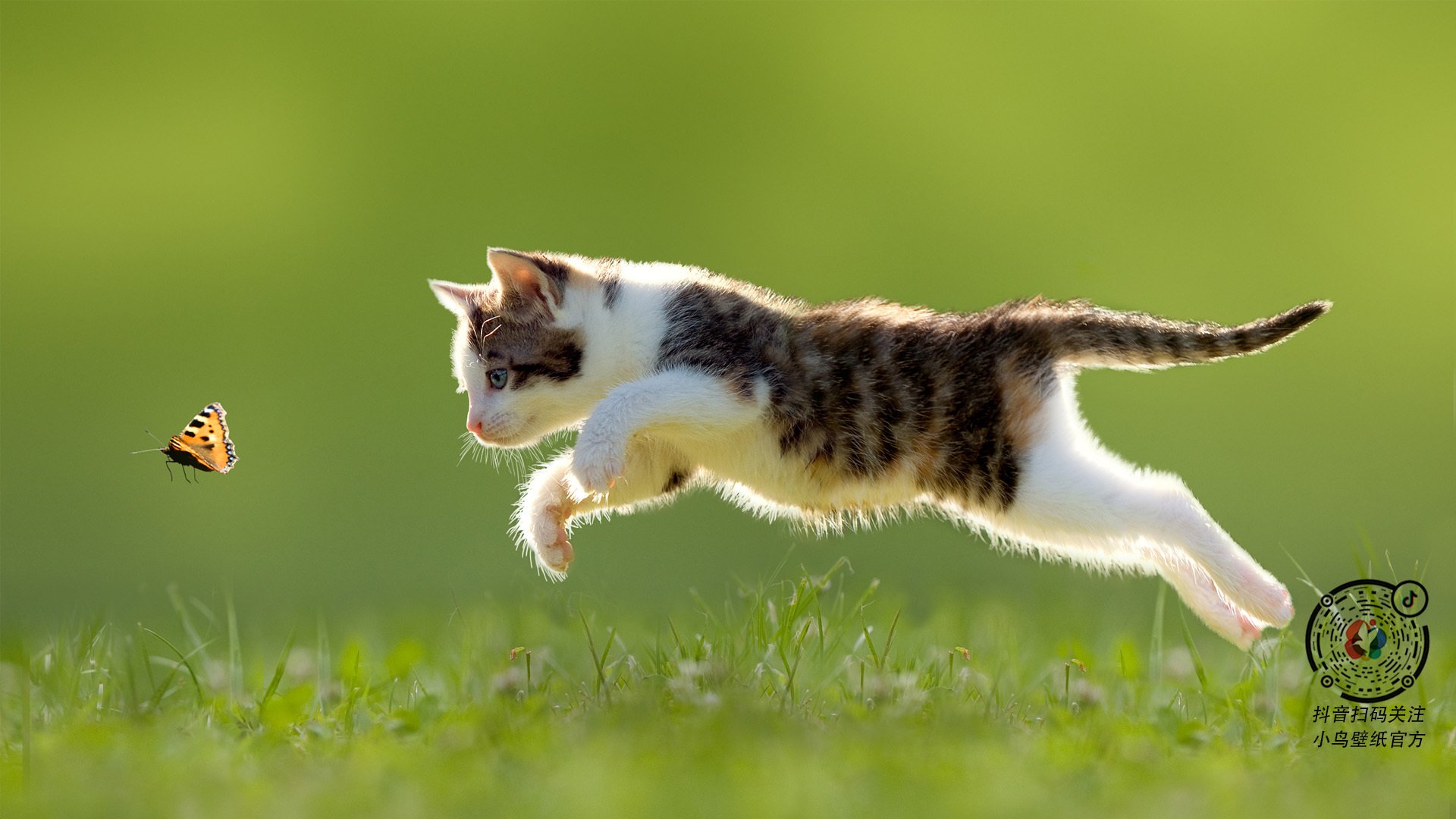 精密齿轮与孤傲剑锋，足球的两种胜利寓言