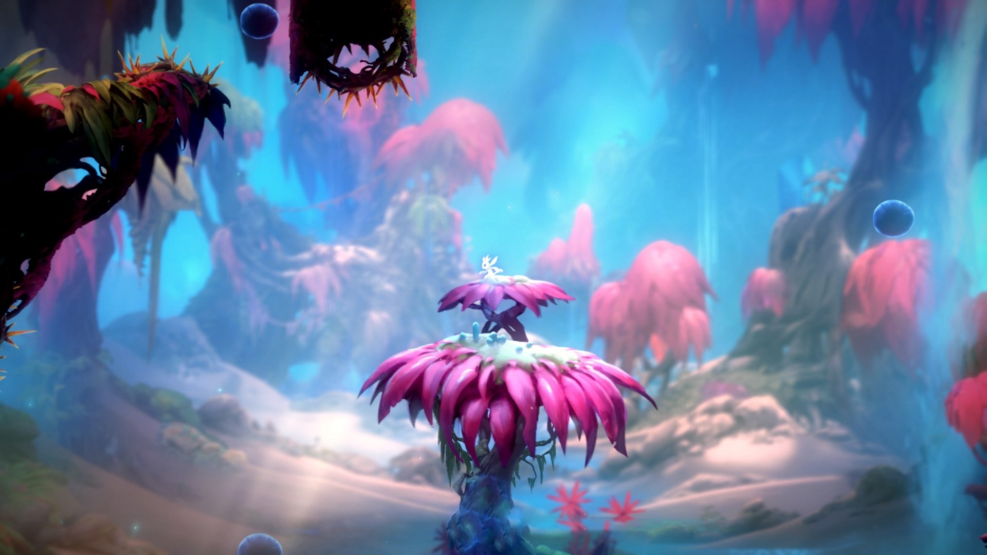 鹰击长空蛰伏夏洛特，当拉梅洛·鲍尔在F1赛道上接管总冠军之战