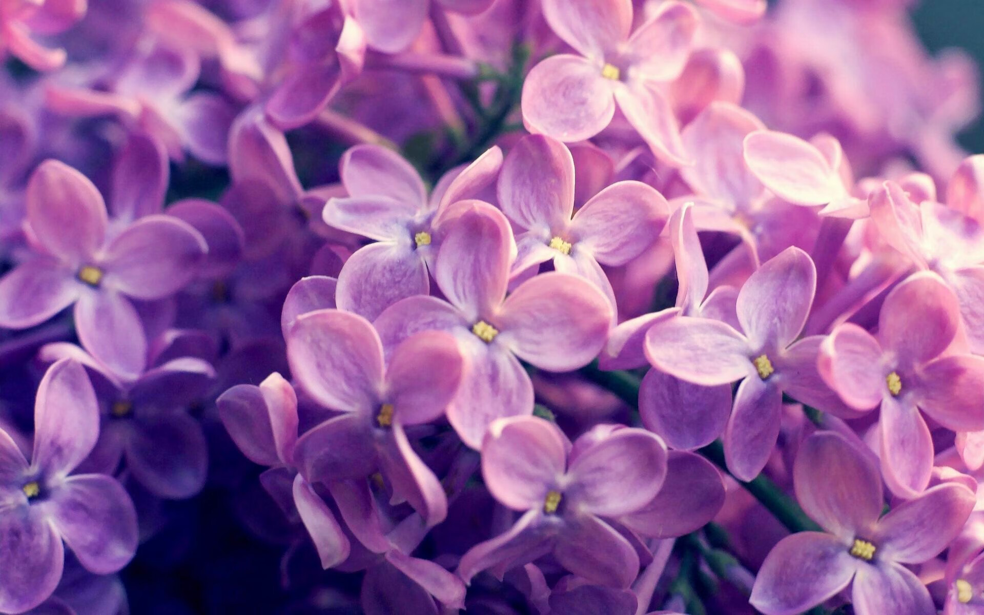 冰封十九年的王座，被他推倒最后一厘米