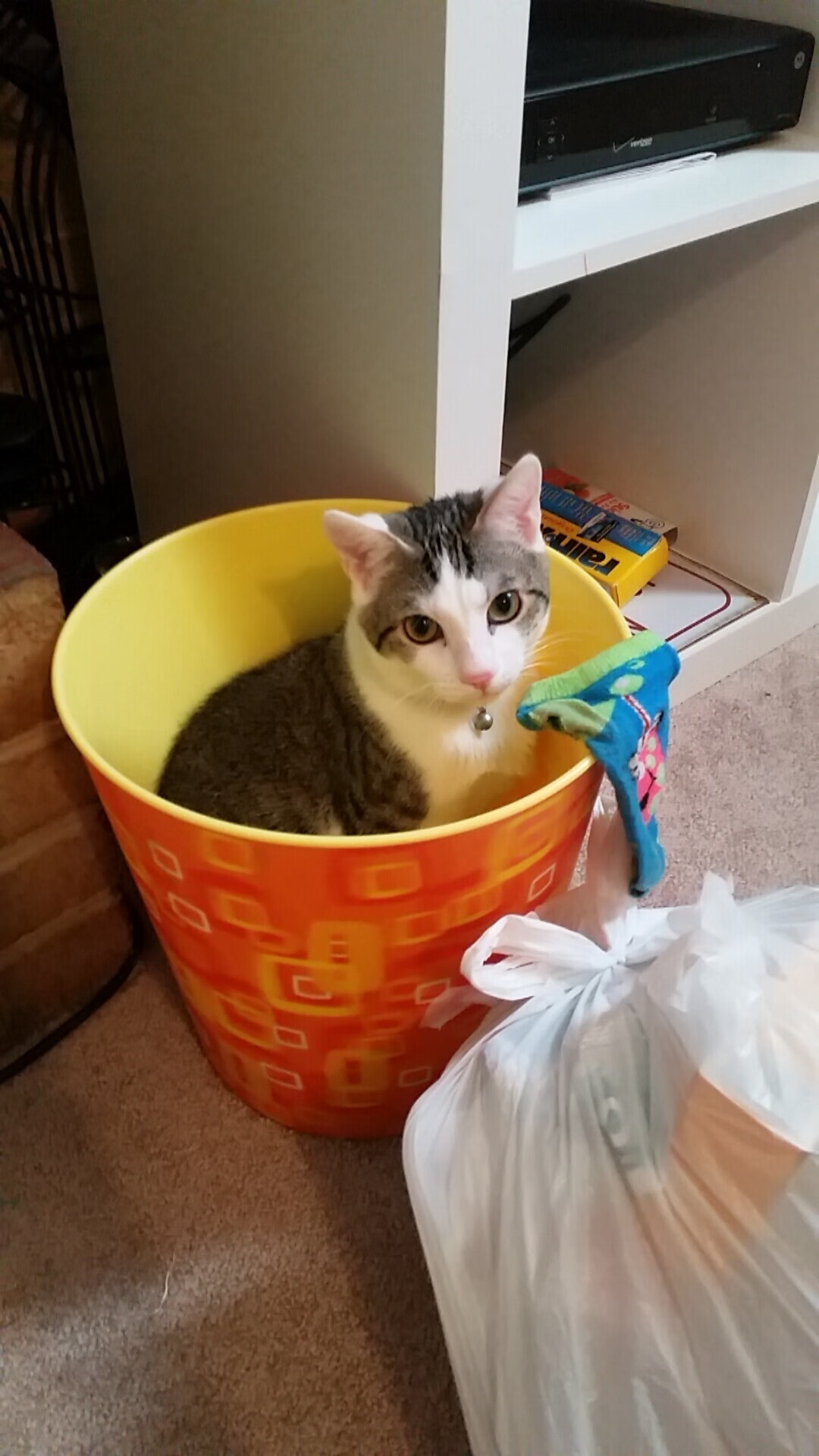 枪声今夜为谁而鸣，当足球不再是足球