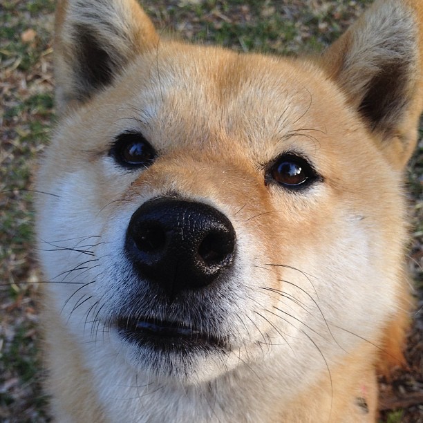 全球篮球焦点战，辽宁队加时鏖战力克篮网，世界排名格局生变