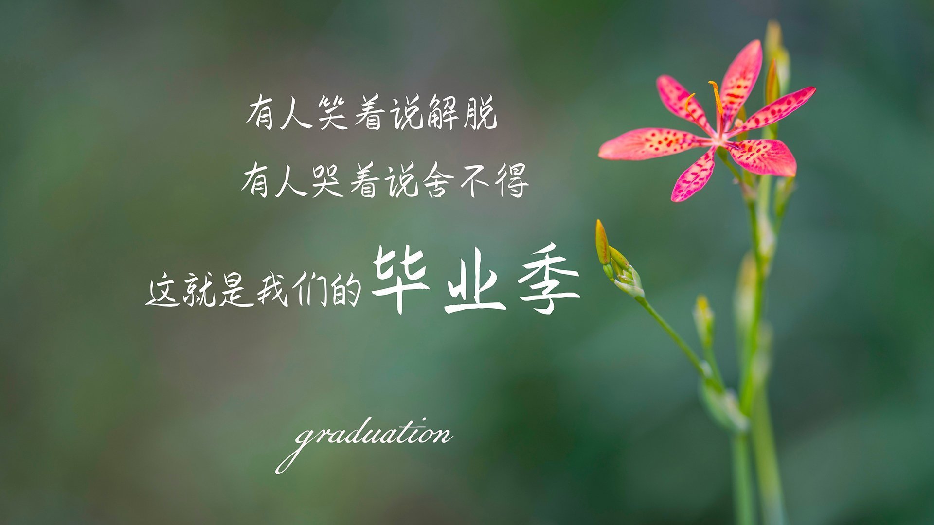 爱游戏在线-绝地反击，2026世界杯B组焦点战，伊朗逆转厄瓜多尔，哈基米一人书写命运剧本